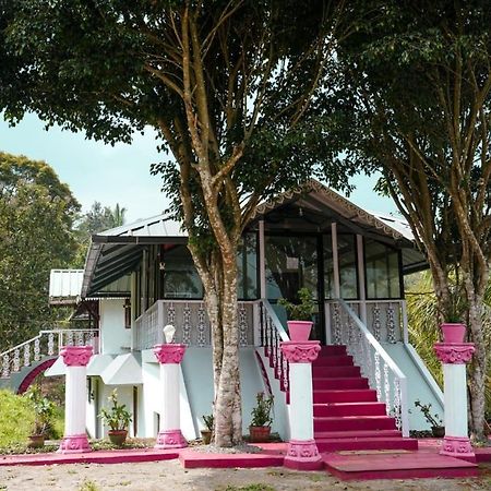 Punarjani Ayurvedic Resorts Ramakkalmedu Esterno foto