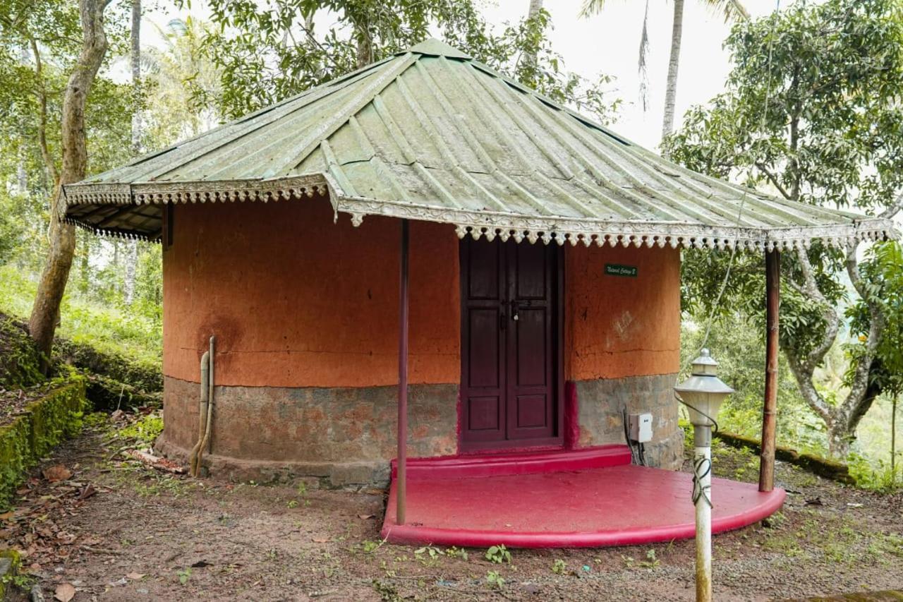Punarjani Ayurvedic Resorts Ramakkalmedu Esterno foto