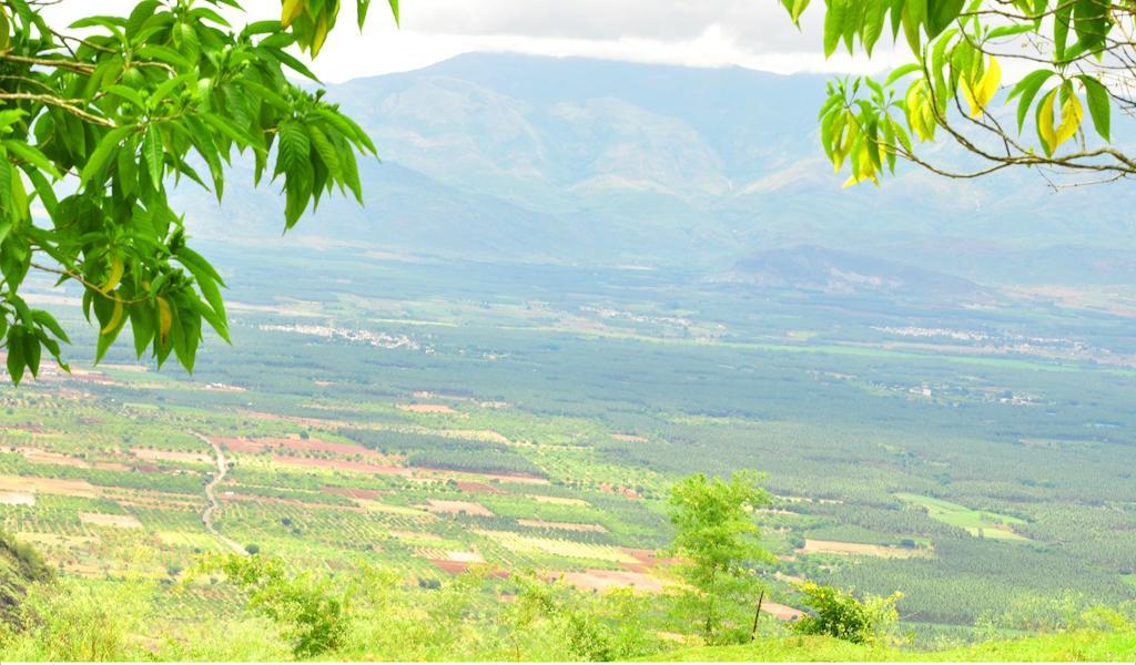 Punarjani Ayurvedic Resorts Ramakkalmedu Esterno foto