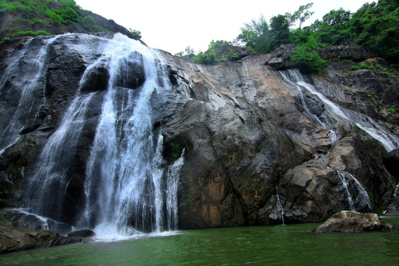 Punarjani Ayurvedic Resorts Ramakkalmedu Esterno foto
